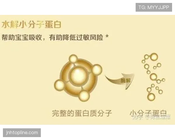 荷兰夺冠机会与风险分析